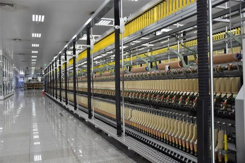 轉型升級 產業(yè)強區(qū)